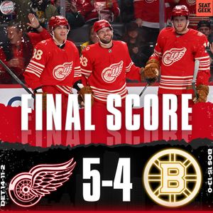 Image post by @redwingscoverage on Instagram