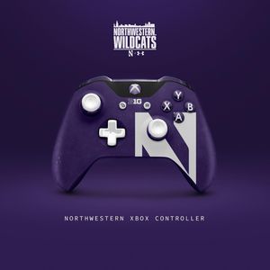 Image post by @northwestern.wildcats on Instagram