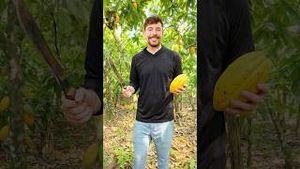 Video post by @mrbeast2 on YouTube