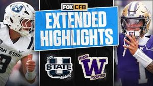 Video post by @cfbonfox on YouTube