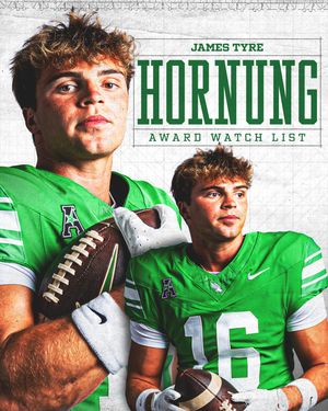 Image post by @meangreenfb on Instagram