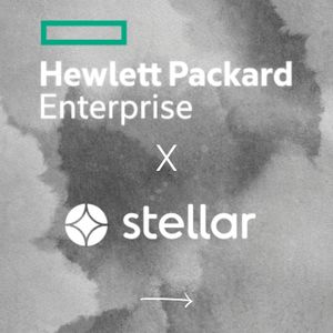 Image post by @stellaragency on Instagram