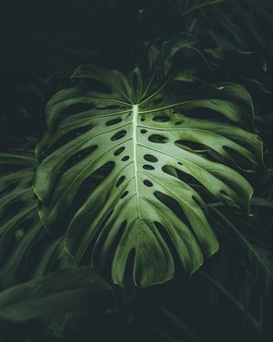 Image post by @kszczuka on Instagram