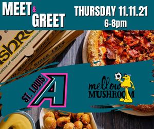 Image post by @stlouisambush on Instagram