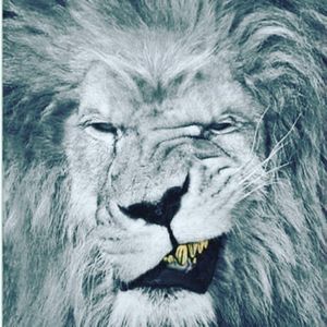 Image post by @thisisbigg on Instagram