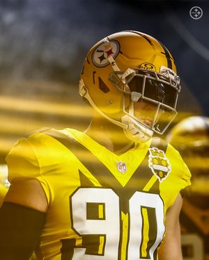 Image post by @steelers on Instagram