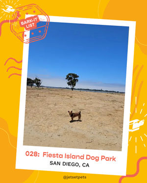 Image post by @jetsetpets on Instagram