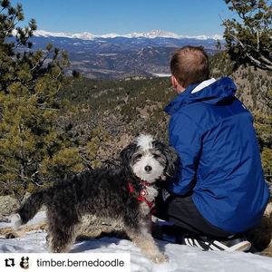 Image post by @uchealth on Instagram