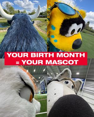 Video post by @texanstoro1 on TikTok