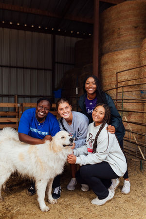 Image post by @sfa_athletics on Instagram