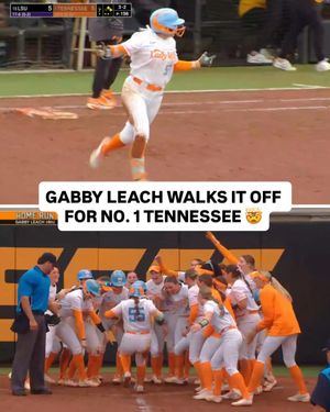 Image post by @ncaasoftball on Instagram