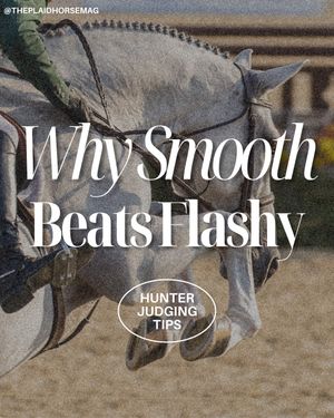 Image post by @theplaidhorsemag on Instagram