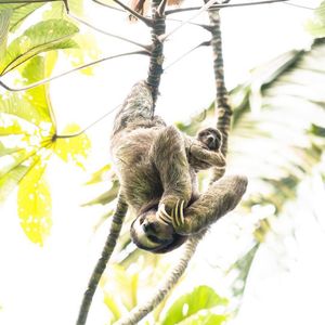 Image post by @drsquatch on Instagram