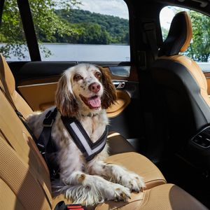 Image post by @VolvoCarUSA on Twitter