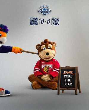 Image post by @flintfirebirds on Instagram