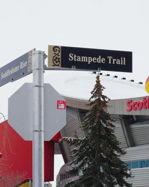 Video post by @abbycanucks on Twitter