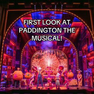 Video post by @whatsonstage on TikTok