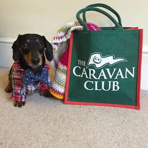 Image post by @candmclub on Instagram