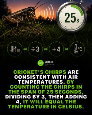 Image post by @science on Instagram