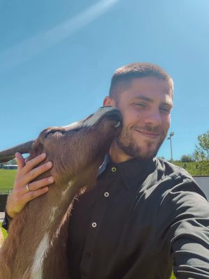 Video post by @tsghoffenheim on TikTok