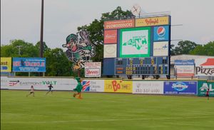 Image post by @GoWoodDucks on Twitter