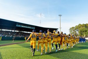 Image post by @thesavbananas on Instagram