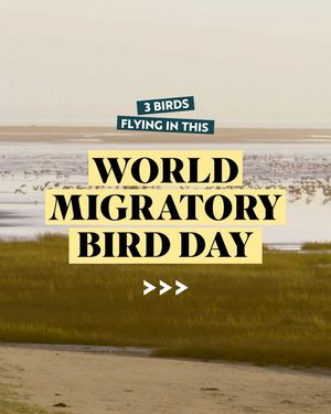 Image post by @rspb on Instagram