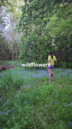 Video post by @hallietut on TikTok