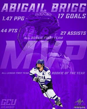 Image post by @lopeswhockey on Instagram