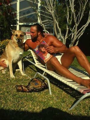 Image post by @thewrestlingclassic on Instagram