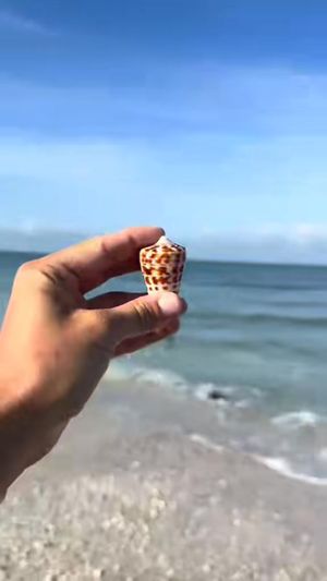 Video post by @b r o o k e🦈 on Facebook