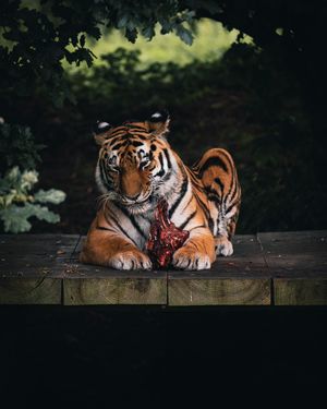 Image post by @reeceashbymedia on Instagram