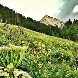 Image post by @skicrestedbutte on Instagram