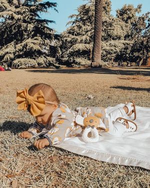 Image post by @alimrose on Instagram
