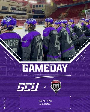 Image post by @lopeshockey_d2 on Instagram