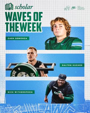 Image post by @greenwavefb on Instagram