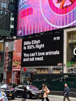 Image post by @peta on Instagram