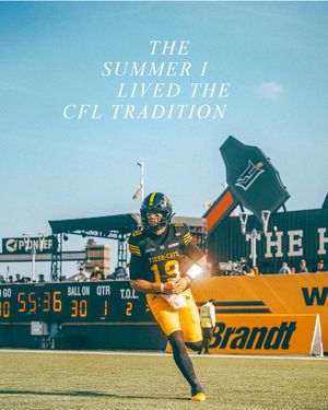 Image post by @hamiltontigercats on Instagram