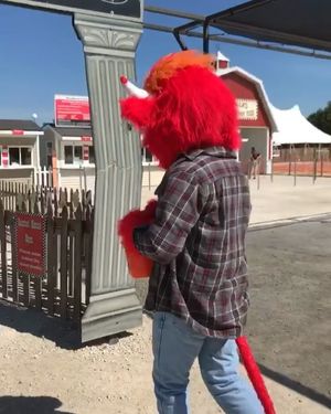 Image post by @bennythebull on Instagram
