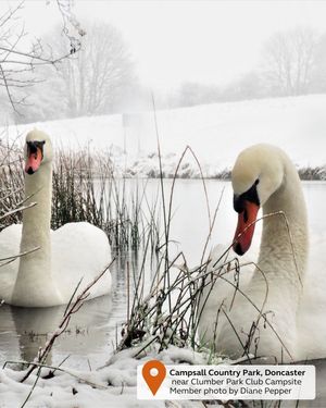 Image post by @candmclub on Instagram