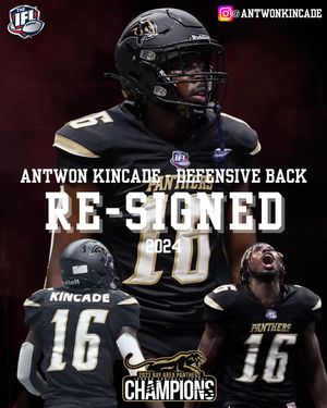Image post by @panthersifl on Instagram