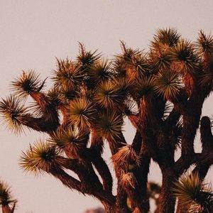 Image post by @nationalparkscollective on Instagram