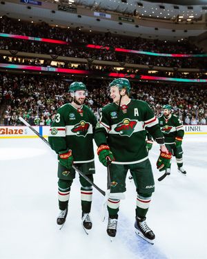 Image post by @minnesotawild on Instagram