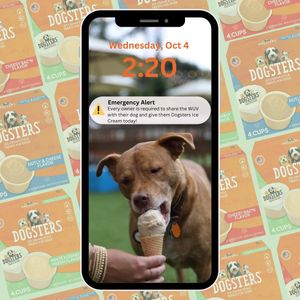 Image post by @dogstersicecream on Instagram