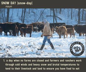 Image post by @AmericanRoyalLivestock on Facebook