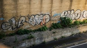 Image post by @graffitiosity on Instagram