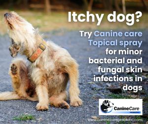 Image post by @caninecareprobiotic on Instagram