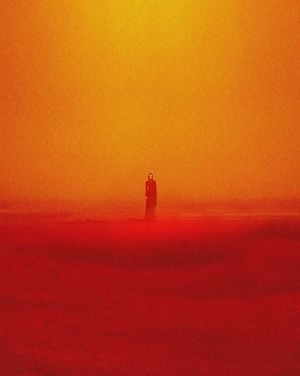 Image post by @fubiz on Instagram