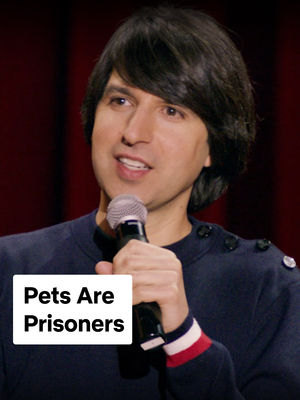 Video post by @netflixisajoke on TikTok