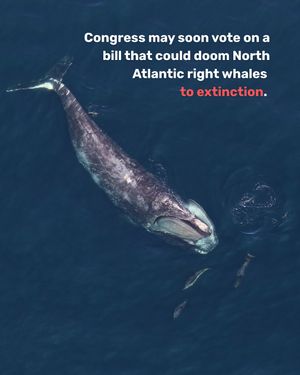 Image post by @centerforbiodiv on Instagram